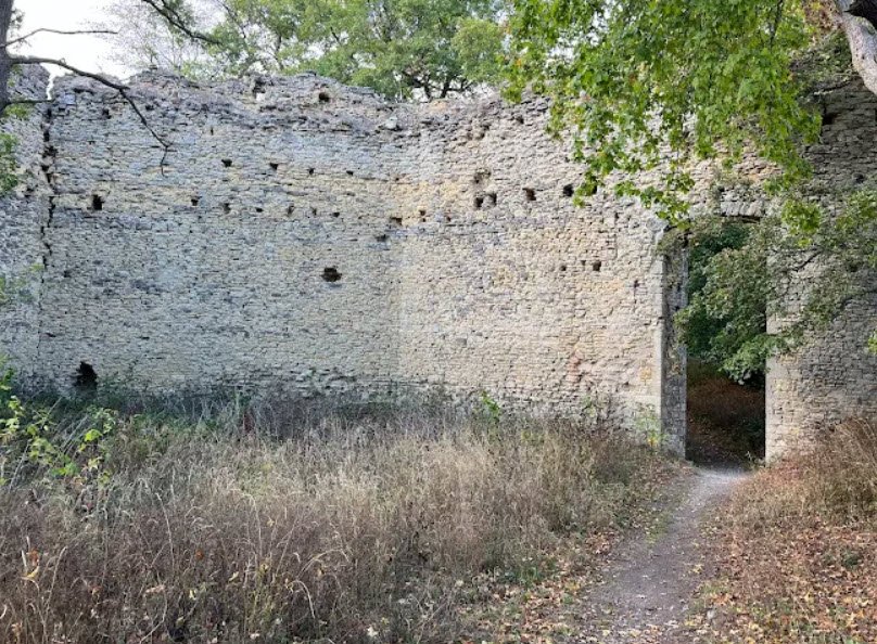 Domburg Hakel, Selke-Aue, Germany, Germany